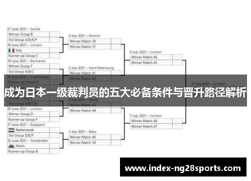 成为日本一级裁判员的五大必备条件与晋升路径解析