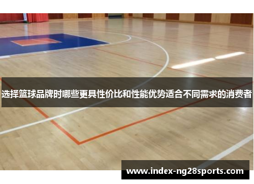 选择篮球品牌时哪些更具性价比和性能优势适合不同需求的消费者