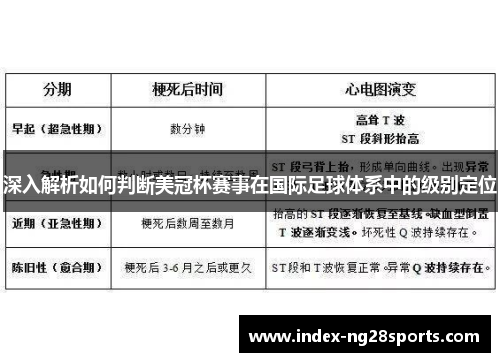深入解析如何判断美冠杯赛事在国际足球体系中的级别定位